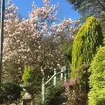 Groves Hall Garden Sleights Near Appartement