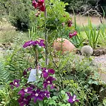 Appartement Groves Hall Garden Sleights Near