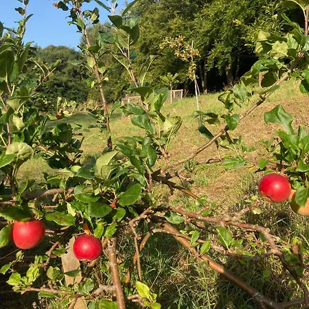 Groves Hall Garden * Whitby