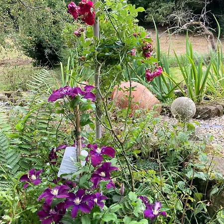 Daire Groves Hall Garden